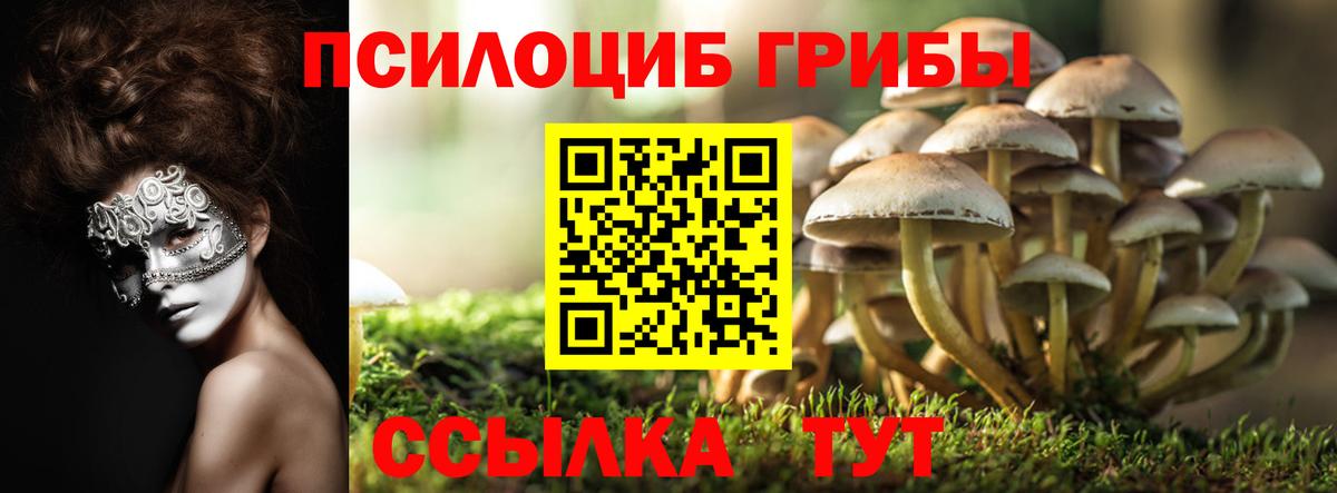 Галлюциногенные грибы Psilocybe  Вход с VPN  что такое наркотик  Клин 