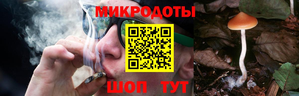 Псилоцибиновые грибы Cubensis Клин